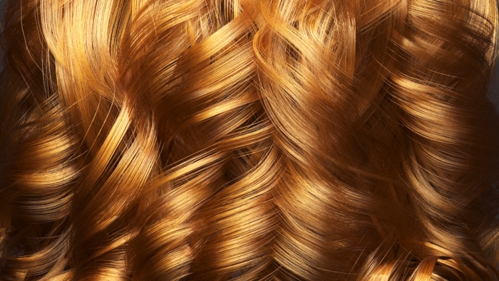 images/download/attachments/60097774/Ginger_Red.jpg