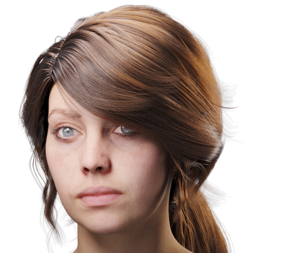 images/download/attachments/60097774/VrayHairMtl2_Emily_docs_highlight_shift.0001_copy.jpg
