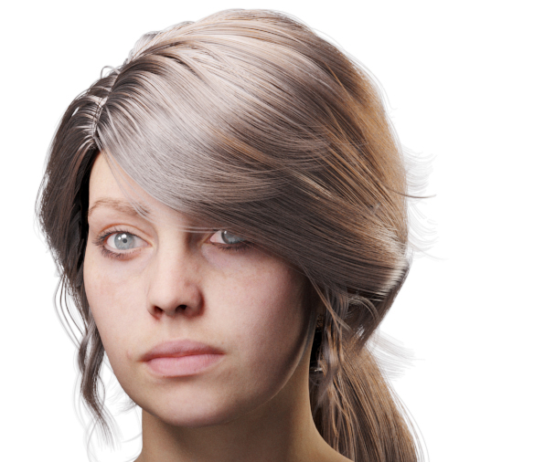 images/download/attachments/60097774/VrayHairMtl2_Emily_docs_ior.0004_copy.jpg