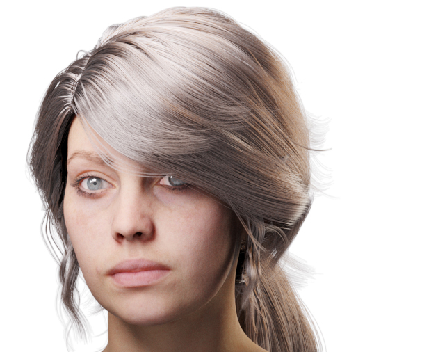 images/download/attachments/60097774/VrayHairMtl2_Emily_docs_ior.0006_copy.jpg