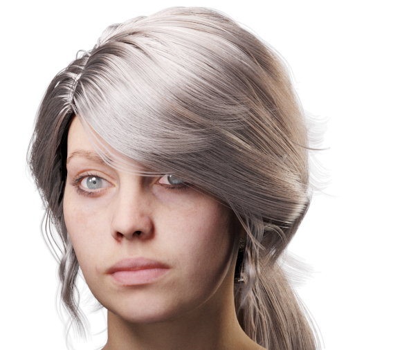 images/download/attachments/60097774/VrayHairMtl2_Emily_docs_ior.0008_copy.jpg