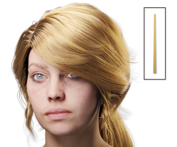 images/download/attachments/60097774/VrayHairMtl2_Emily_docs_softness.0010_copy.jpg