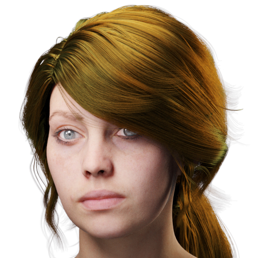 images/download/attachments/60097774/VrayHairMtl2_Emily_docs_tint.0003_copy.jpg