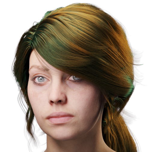 images/download/attachments/60097774/VrayHairMtl2_Emily_docs_tint.0005_copy.jpg