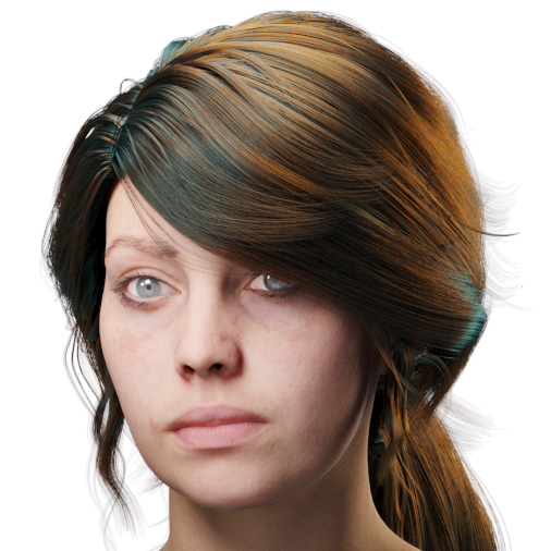 images/download/attachments/60097774/VrayHairMtl2_Emily_docs_tint.0006_copy.jpg