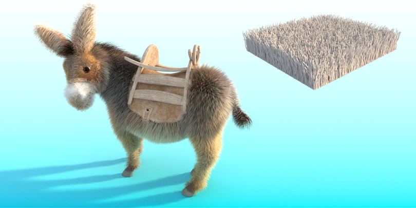images/download/attachments/60098893/Donkey_bend0003.jpg
