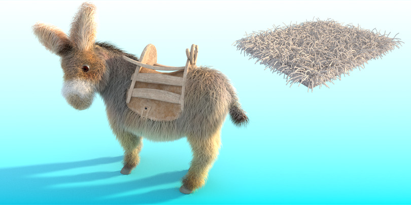 images/download/attachments/60098893/Donkey_bend0010.jpg