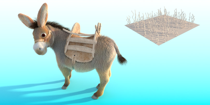 images/download/attachments/60098893/Donkey_curl_radius0001.jpg