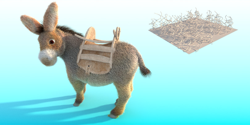 images/download/attachments/60098893/Donkey_curl_radius0010.jpg