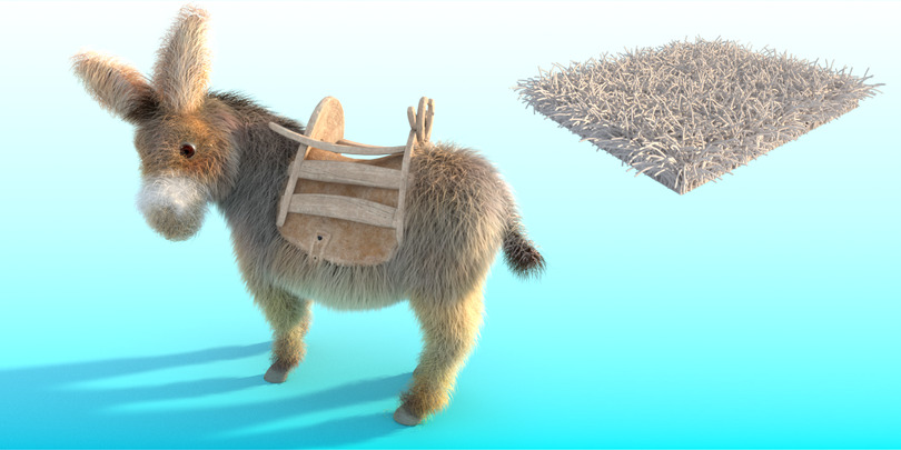 images/download/attachments/60098893/Donkey_gravity0003.jpg