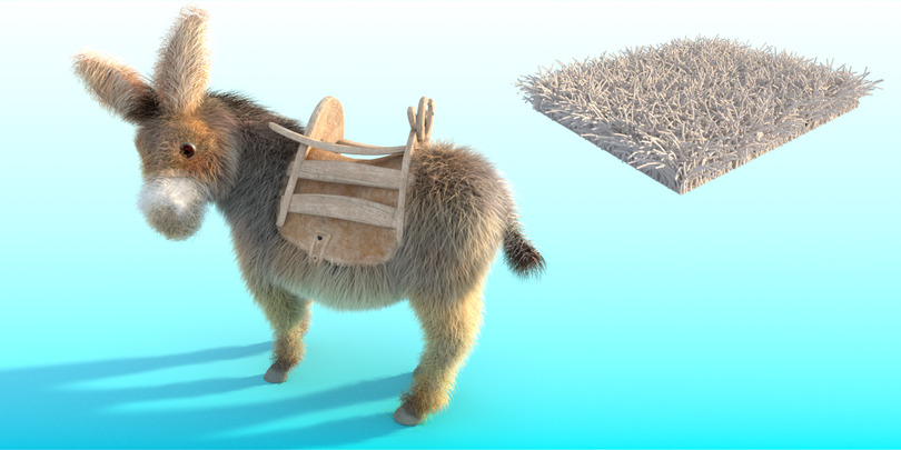 images/download/attachments/60098893/Donkey_gravity0004.jpg