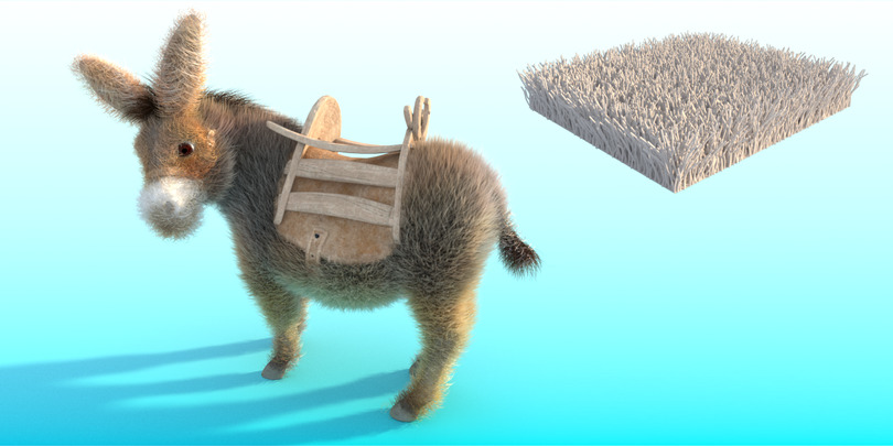 images/download/attachments/60098893/Donkey_gravity0009.jpg