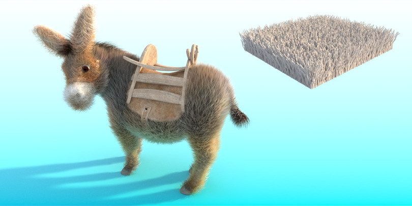 images/download/attachments/60098893/Donkey_gravity0010.jpg