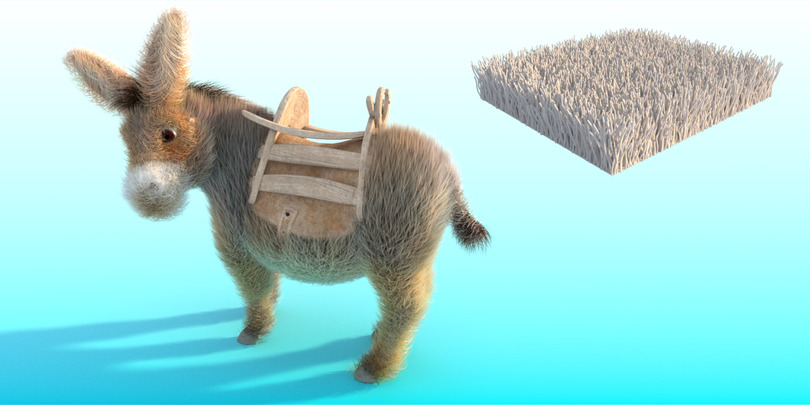 images/download/attachments/60098893/Donkey_gravity0012.jpg