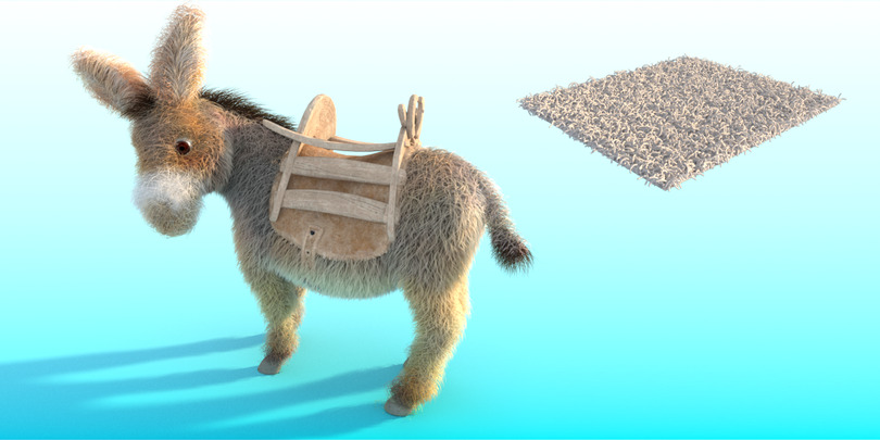 images/download/attachments/60098893/Donkey_lenght0001.jpg