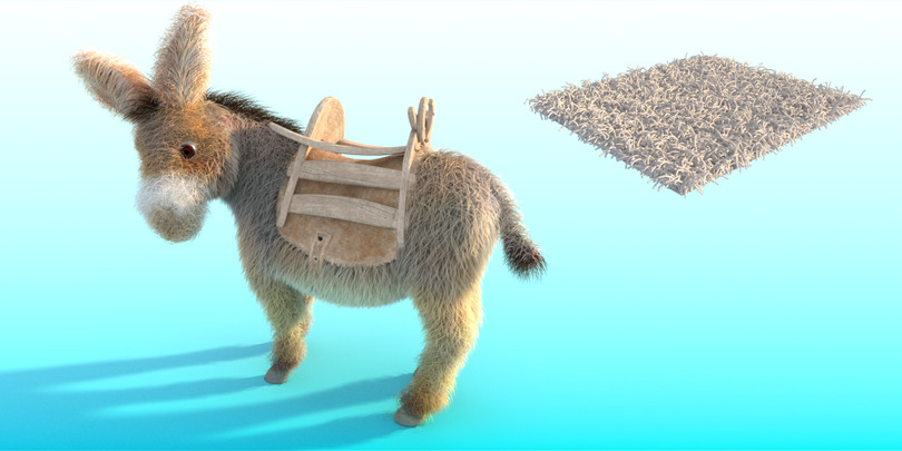 images/download/attachments/60098893/Donkey_lenght0002.jpg