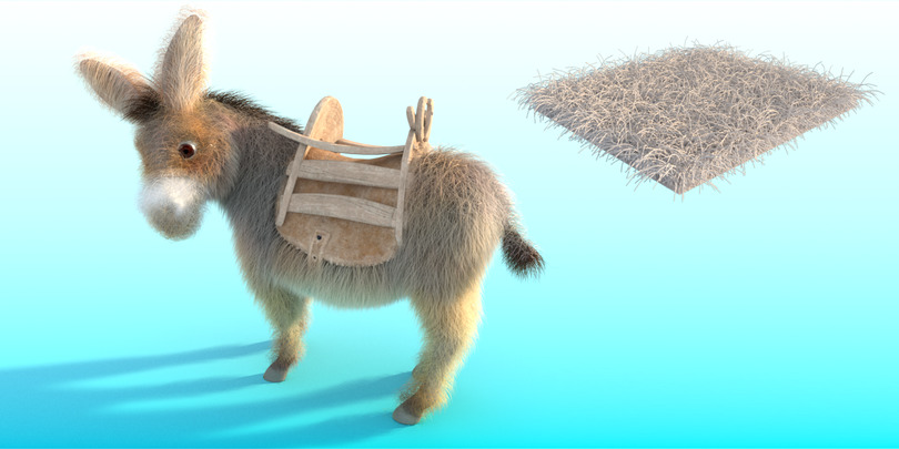 images/download/attachments/60098893/Donkey_tickness0002.jpg
