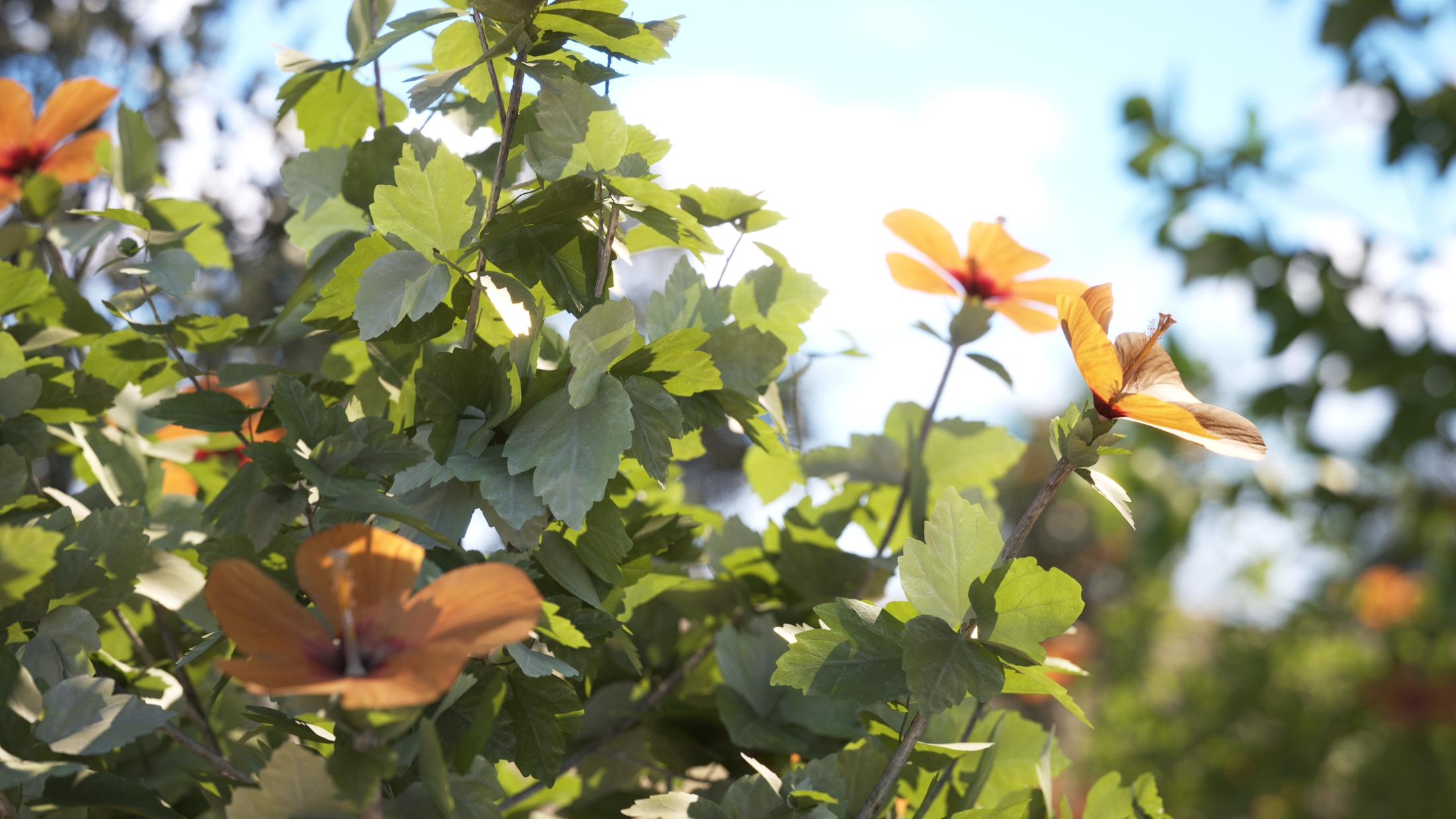 images/download/attachments/60099945/Max2022_VRay5_Leaves_final.jpg
