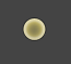 images/download/thumbnails/60100882/Max2020_VRay5_Toolbar_AmbientLight.png